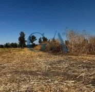 TERRENO EN VENTA EN IXTLAHUACAN DE LOS MEMBRILLOS