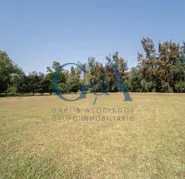 EXCELENTE TERRENO EN LOS SAUCES
