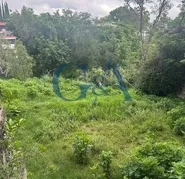 TERRENOS EN COLINAS DE SAN JAVIER