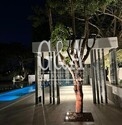 TERRENOS EN JARDIN REAL