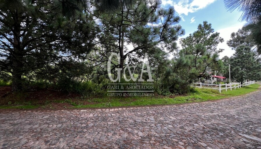 TERRENO EN VENTA TAPALPA