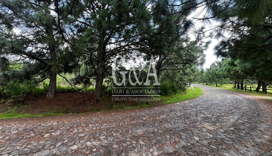 TERRENO EN VENTA TAPALPA