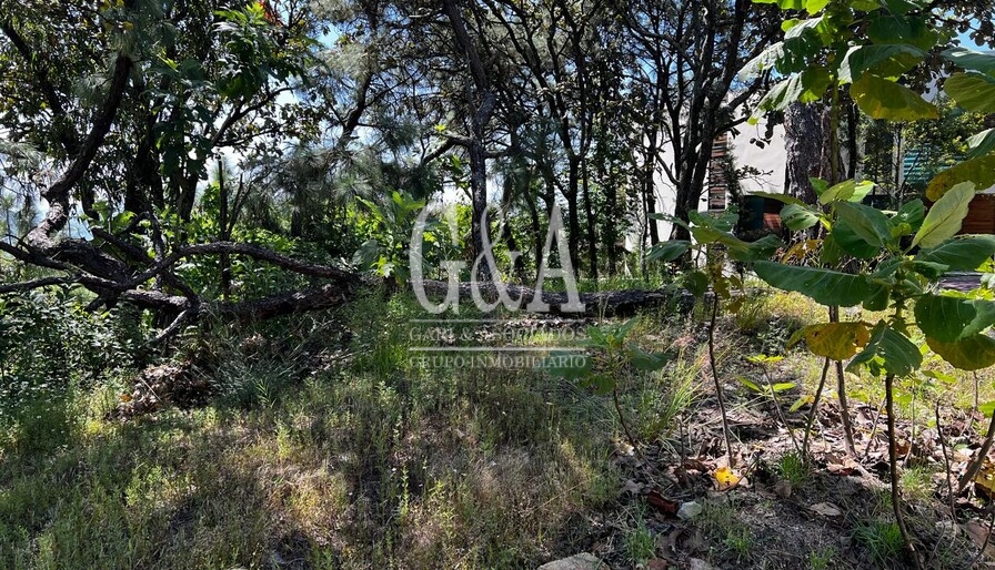 TERRENO EN VENTA EN EL CIELO TLAJOMULCO, JALISCO