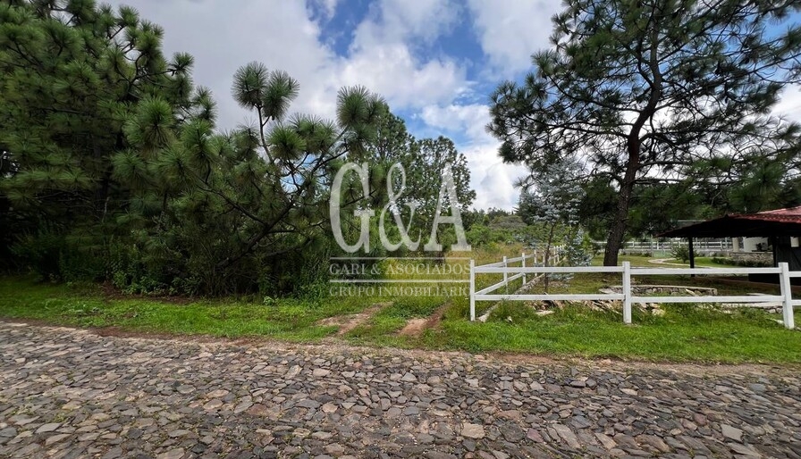 TERRENO EN VENTA TAPALPA