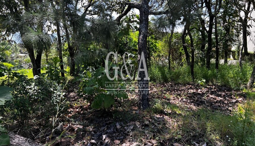 TERRENO EN VENTA EN EL CIELO TLAJOMULCO, JALISCO