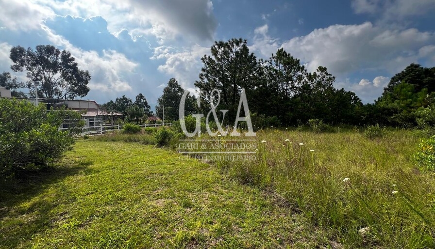 TERRENO EN VENTA TAPALPA