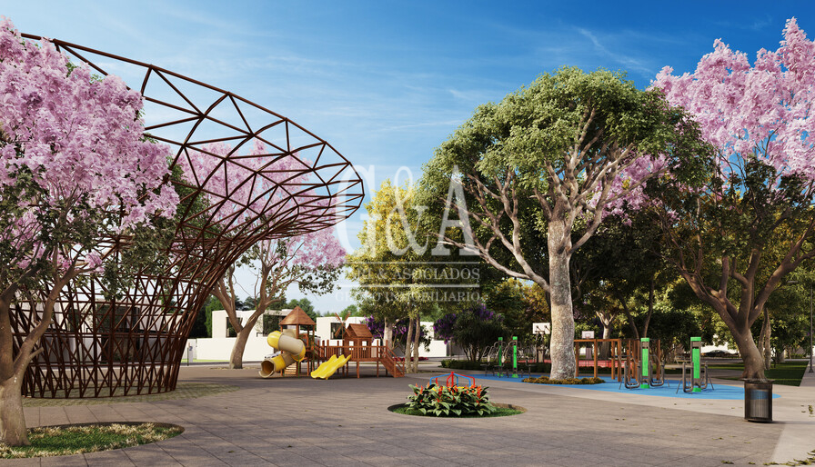 DESAROLLO WAYUUM MÉRIDA