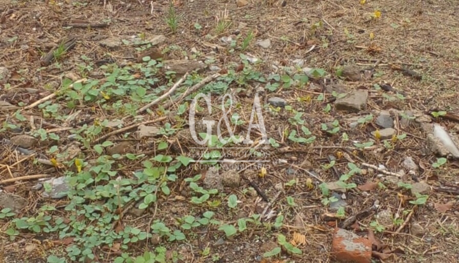 Terreno  en Renta Para comercio o Negocio en Villa del Ixtepete, Zapopan