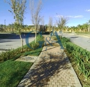 TERRENOS EN LA ESCONDIDA