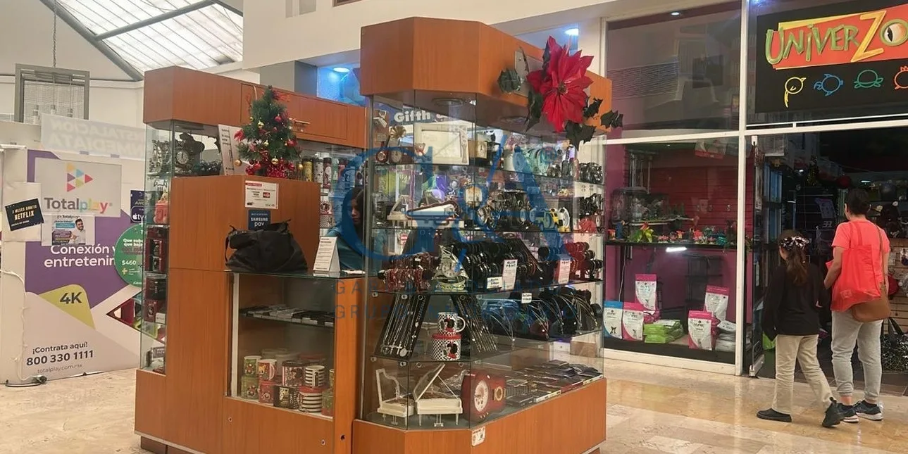Isla en Venta Plaza Comercial Centro Max en Leon Gto.